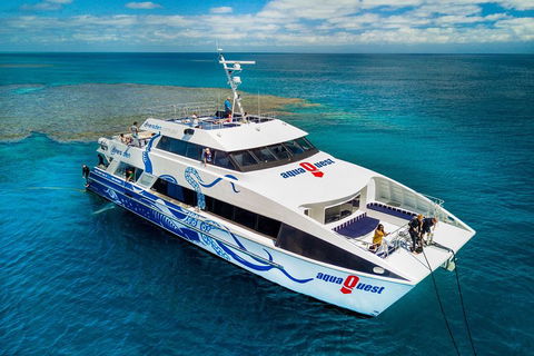Great Barrier Reef Diving And Snorkeling Cruise From Cairns - Tourism Adelaide 5