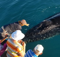 AOC Whale Watching from Broome - Tourism Adelaide