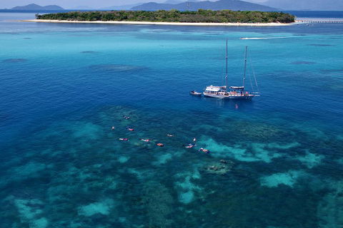 Ocean Free Green Island & Great Barrier Reef Snorkel Cruise, Cairns 25 Guests - Tourism Adelaide 2
