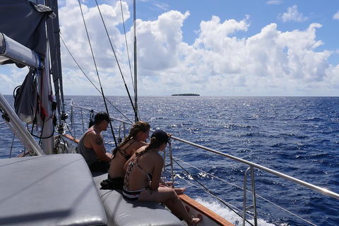 Ocean Free Green Island & Great Barrier Reef Snorkel Cruise, Cairns 25 Guests - Tourism Adelaide 4
