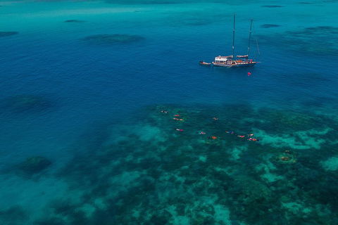 Ocean Free Green Island & Great Barrier Reef Snorkel Cruise, Cairns 25 Guests - Tourism Adelaide 5