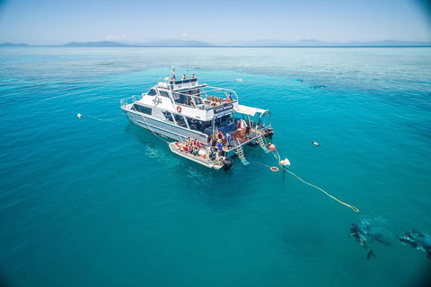 Ocean Freedom Great Barrier Reef Personal Luxury Snorkel & Dive Cruise, Cairns - Tourism Adelaide 0
