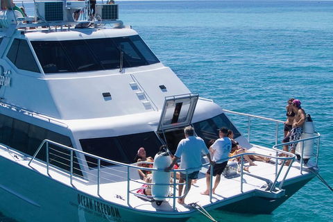 Ocean Freedom Great Barrier Reef Personal Luxury Snorkel & Dive Cruise, Cairns - Tourism Adelaide 1