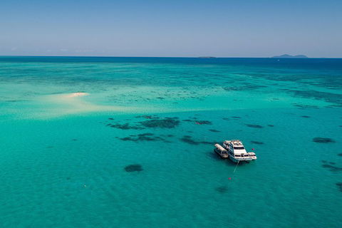 Ocean Freedom Great Barrier Reef Personal Luxury Snorkel & Dive Cruise, Cairns - Tourism Adelaide 2
