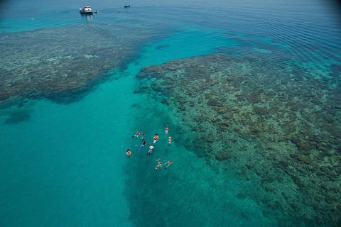 Ocean Freedom Great Barrier Reef Personal Luxury Snorkel & Dive Cruise, Cairns - Tourism Adelaide 3
