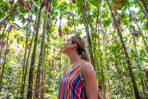 5 Day Australia Retreat: Queensland Daintree - Tourism Adelaide 0