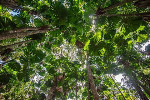 5 Day Australia Retreat: Queensland Daintree - Tourism Adelaide 2