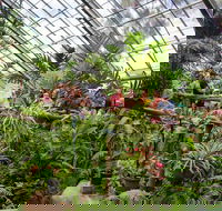 Australian Butterfly Sanctuary - Tourism Adelaide