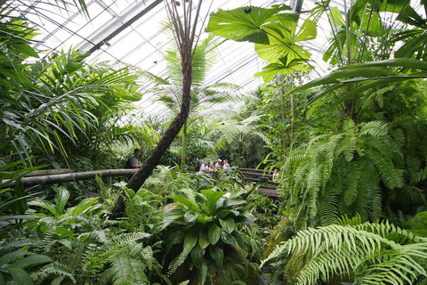Australian Butterfly Sanctuary - Tourism Adelaide 3