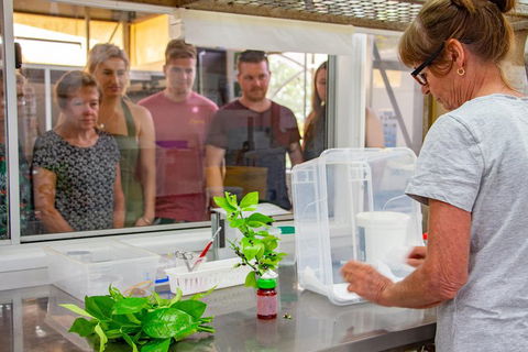 Australian Butterfly Sanctuary - Tourism Adelaide 5