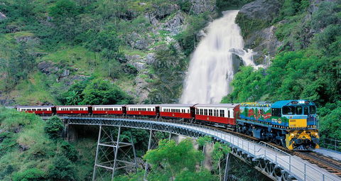 Classic Kuranda By Skyrail And Scenic Railway Including Rainforestation, Koala And Wildlife Park And Pamagirri Aboriginal Experi - Tourism Adelaide 1