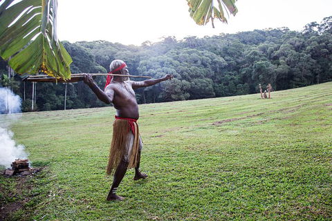 Classic Kuranda By Skyrail And Scenic Railway Including Rainforestation, Koala And Wildlife Park And Pamagirri Aboriginal Experi - Tourism Adelaide 5