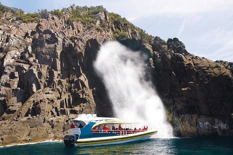 Full-Day Bruny Island Cruises Day Tour From Hobart - Tourism Adelaide 4