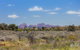 Overnight Uluru (Ayers Rock) Small-Group Camping Tour - thumb 0