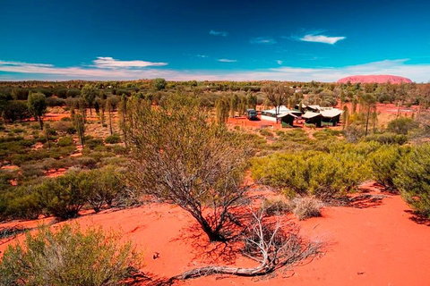 Overnight Uluru (Ayers Rock) Small-Group Camping Tour - Tourism Adelaide 2