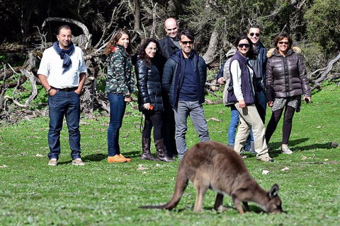 2-Day Kangaroo Island 4WD Small-Group Tour From Adelaide - Tourism Adelaide 1