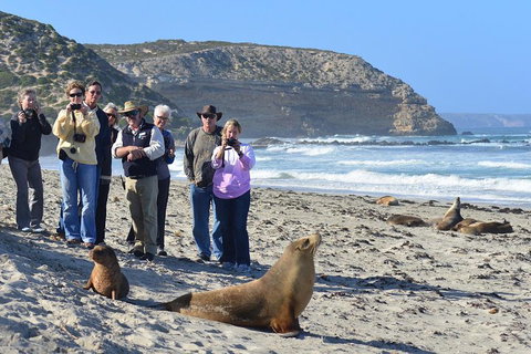2-Day Kangaroo Island 4WD Small-Group Tour From Adelaide - Tourism Adelaide 3