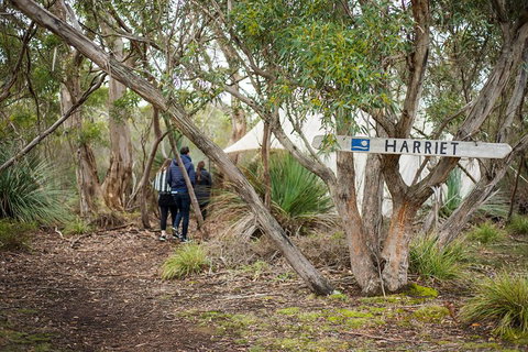 2-Day Kangaroo Island 4WD Small-Group Tour From Adelaide - Tourism Adelaide 5