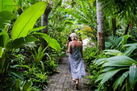 Cairns City Sights And Surrounds Tour - Tourism Adelaide 2