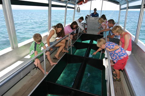 Cairns City Sights And Surrounds Tour - Tourism Adelaide 5