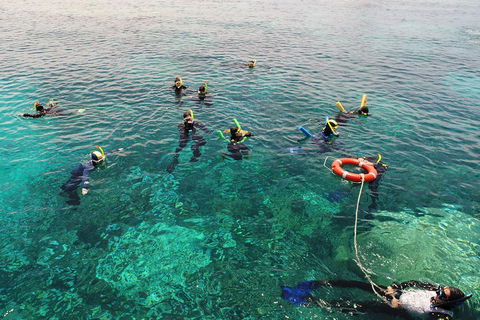 Seastar Luxury Outer Great Barrier Reef Island And Reef Tour From Cairns - Tourism Adelaide 2