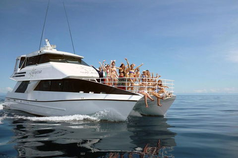Seastar Luxury Outer Great Barrier Reef Island And Reef Tour From Cairns - Tourism Adelaide 4