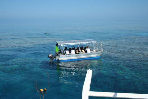 Seastar Luxury Outer Great Barrier Reef Island And Reef Tour From Cairns - Tourism Adelaide 5
