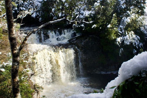 Cradle Mountain Day Tour From Launceston Including Lunch - Tourism Adelaide 0