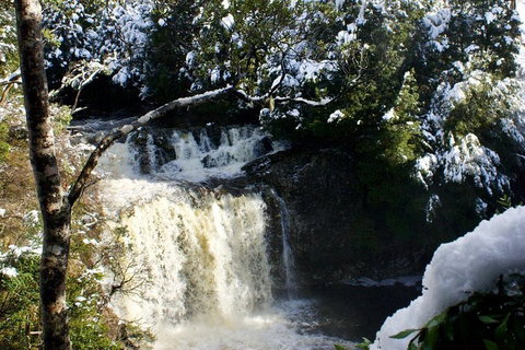 Cradle Mountain Park Explorer Guided Tour - Tourism Adelaide 4