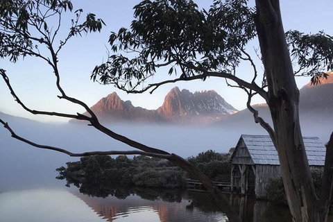 Cradle Mountain Park Explorer Guided Tour - Tourism Adelaide 5