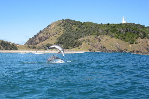 Kayaking With Dolphins In Byron Bay Guided Tour - Tourism Adelaide 0