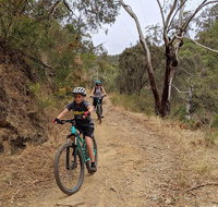 Mount Lofty Descent Bike Tour from Adelaide - Tourism Adelaide