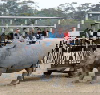 Off-Road Safari at Werribee Open Range Zoo - Tourism Adelaide