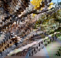 Kakadu National Park Cultural Experience - Tourism Adelaide