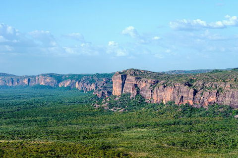 Jabiru 60 Minute Scenic Flight - Tourism Adelaide 4