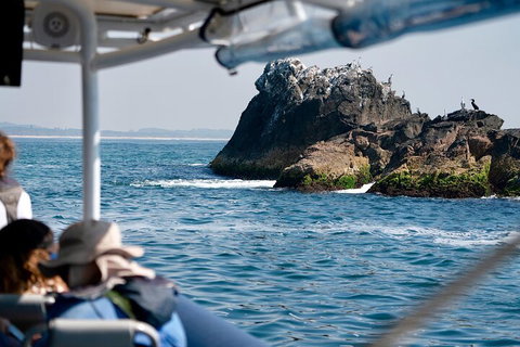 Julian Rocks Byron Bay Cruise - Tourism Adelaide 2