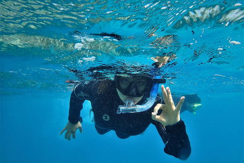 3 Day Whitsundays Sailing And Diving Adventure: Kiana - Tourism Adelaide 0