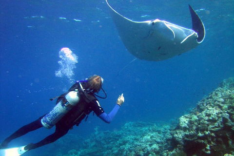 3 Day Whitsundays Sailing And Diving Adventure: Kiana - Tourism Adelaide 3
