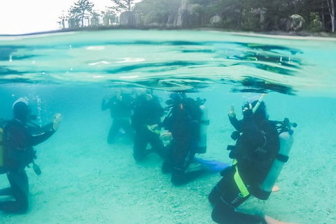 3 Day Whitsundays Sailing And Diving Adventure: Kiana - Tourism Adelaide 4