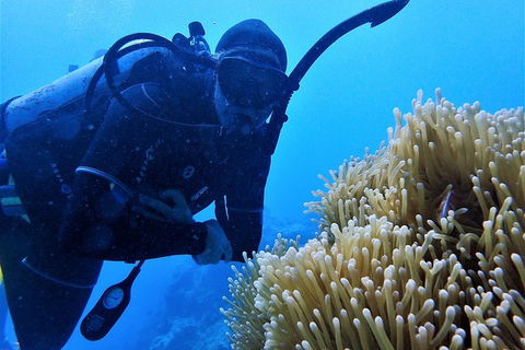3 Day Whitsundays Sailing And Diving Adventure: Kiana - Tourism Adelaide 5