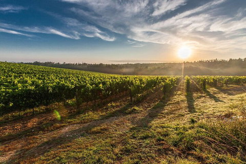 Perth To Margaret River Wine Tour - 2 Day Premium Boutique Wine Tour Experience - Tourism Adelaide 0