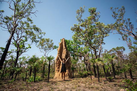 Litchfield National Park - Top End Day Tour From Darwin - Tourism Adelaide 5