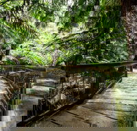 12 Apostles Eco-Friendly Great Ocean Road Iconic Adventure from Melbourne - Tourism Adelaide