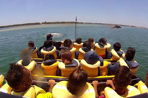 Jet Boat Express Ride - 30mins - Tourism Adelaide 5