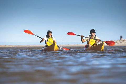 Kangaroo Island Self-Guided Kayaking On The Harriet River - Tourism Adelaide 2