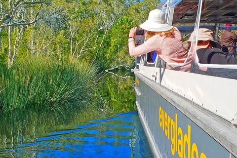 Noosa Everglades Serenity Cruise & Highlights Tour Inc. Lunch & Cruise - Tourism Adelaide 2