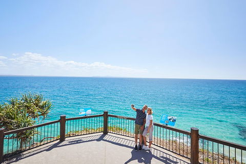 Noosa Everglades Serenity Cruise & Highlights Tour Inc. Lunch & Cruise - Tourism Adelaide 3