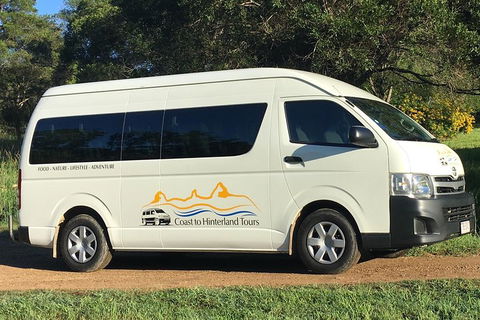 Noosa Everglades Serenity Cruise & Highlights Tour Inc. Lunch & Cruise - Tourism Adelaide 5