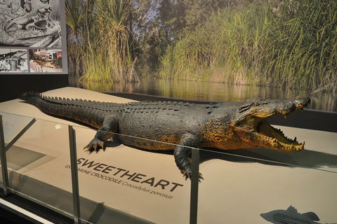 Explore Darwin City Sights Including Key Attractions - Tourism Adelaide 2