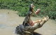 Litchfield And Jumping Crocodiles Full Day Trip From Darwin - thumb 3